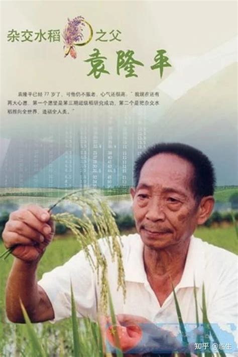 袁隆平离开了，他的“海水稻之梦”还在江苏继续