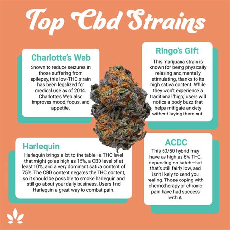 Cannabidiol(CBD): Benefits, Side Effects, Dosage, and Legality ...