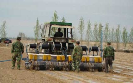 新疆兵团：志愿服务 助农增收-人民图片网