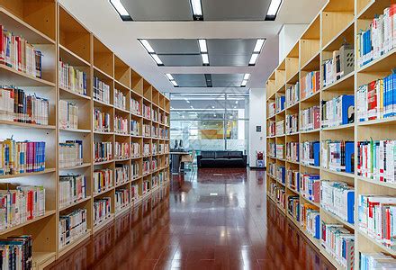 教育 _ 沪上中小学图书馆功能升级，小学人均藏书量达42册