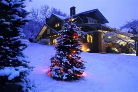 在寒雪小城镇的圣诞节夜里雪小镇的圣诞节夜晚自在树下雪的高清图片下载-正版图片307634569-摄图网