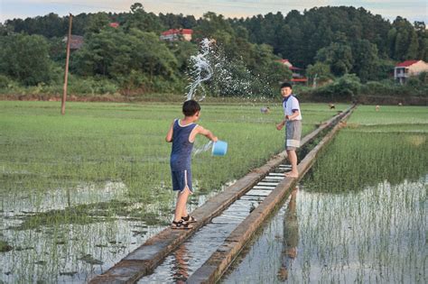 端午假期篇 三 稻田旁的小水渠|摄影|人像摄影|sicily田心 - 原创作品 - 站酷 (ZCOOL)