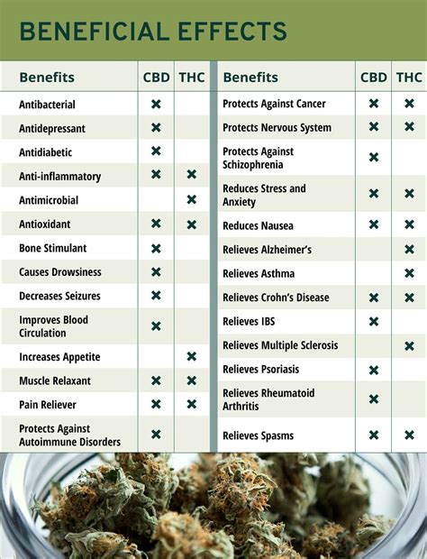 What you need to know about CBD products