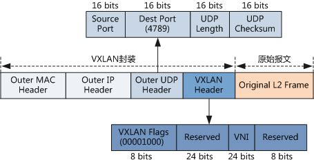 为什么需要VXLAN ？和VLAN有什么区别 ？_vxlan和vlan区别_阿苏呐的博客-CSDN博客