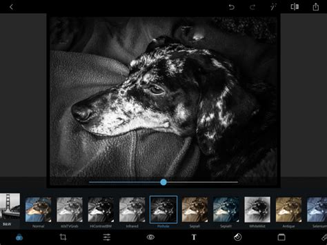 Give your photos a WOW factor with Snapseed & PSExpress apps