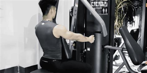 健身房器械使用指南之胸肌训练 - 知乎