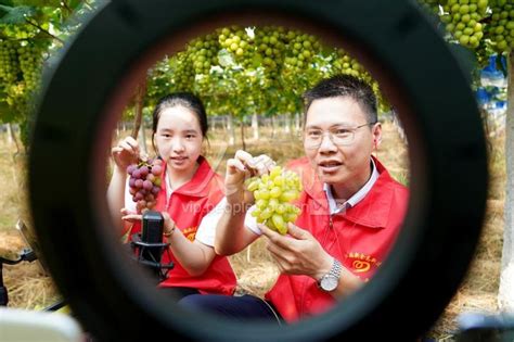 江西新余：直播带货 助农增收-人民图片网