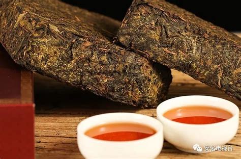 安化红茶，安化黑茶特级天尖-茶语网,当代茶文化推广者