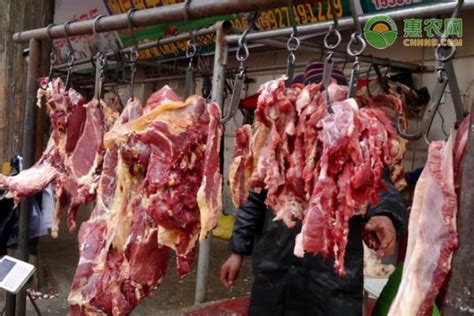 羊肉进入消费旺季 半年价格猛涨11%直逼40元每斤大关_肉交所