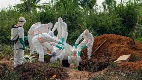 刚果（金）东部发现埃博拉确诊新病例