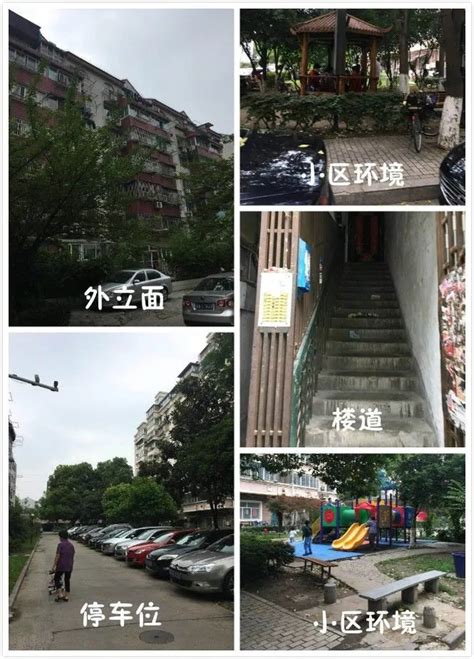 南京看房笔记|用小区名取名的力小分校——凤凰花园城小学