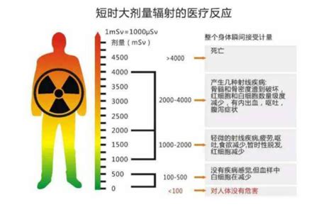 辐射值安全范围是多少？辐射值安全范围了解一下|辐射|安全-知识百科-川北在线