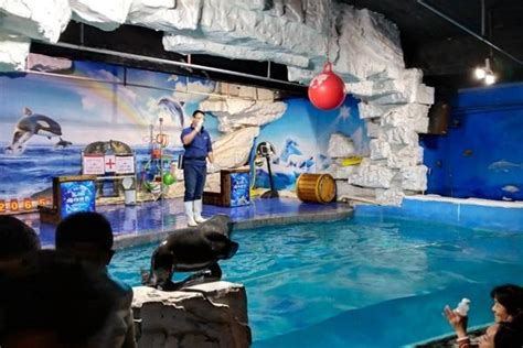 东湖海洋乐园欢乐水世界营业时间2022_旅泊网