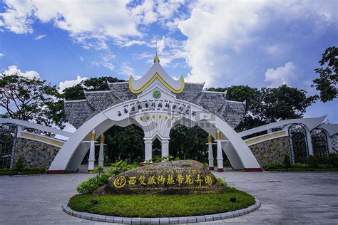 云南信息报：中国科学院西双版纳热带植物园：生物多样性的“仙境”----中国科学院西双版纳热带植物园