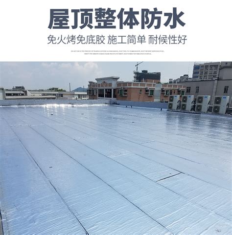 广东广州专业生产自粘防水卷材生产厂家 - 德立兴 - 九正建材网