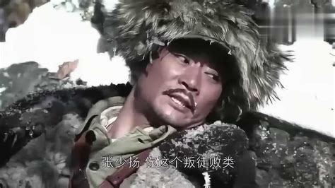 杨靖宇将军英勇抗战，杀敌无数，壮烈牺牲_腾讯视频