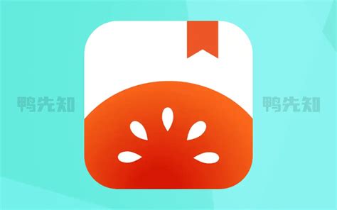 番茄小说app官网下载_番茄小说app官网下载最新版本v6.2.1.32-麦块安卓网