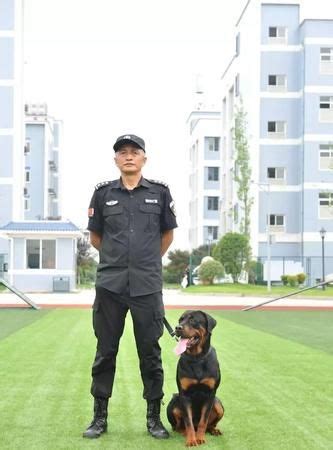 铜陵7条警犬即将退役 转赠给政府、企事业单位！_凤凰网视频_凤凰网