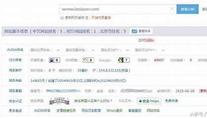 上海网站权重优化 的图像结果