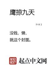 鹰掠九天最新章节免费阅读_全本目录更新无删减 - 起点中文网官方正版