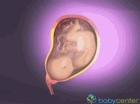 分娩时，胎儿是怎样通过产道？_手机新浪网