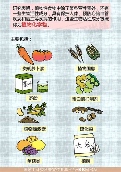 七大营养素对应食物,种类,来源(第3页)_大山谷图库