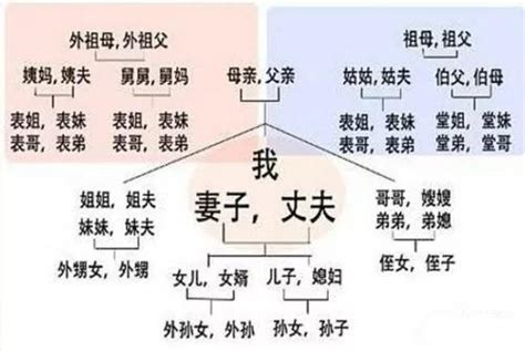 祖宗十八代都是哪十八代：什么是中国人常说的祖宗十八代？