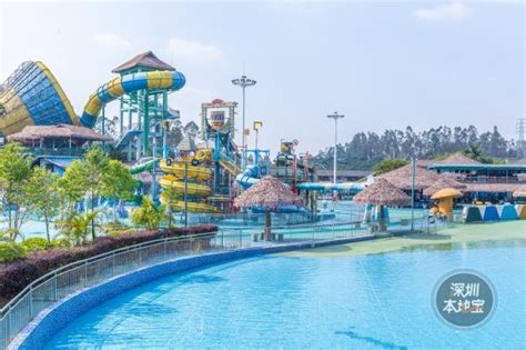 2024深圳玛雅海滩水公园玩乐攻略,玛雅水公园是深圳市内唯一的...【去哪儿攻略】