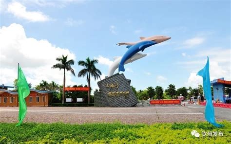 钦州三娘湾,白海豚雕塑,国内旅游景点,旅游景点,摄影素材,汇图网www.huitu.com