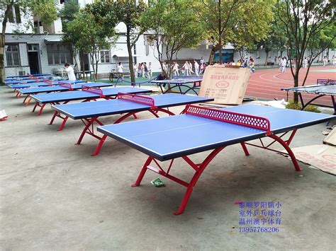 特价供应室内可移动乒乓球桌 家用标准乒乓球台 物美价廉售后无忧-阿里巴巴