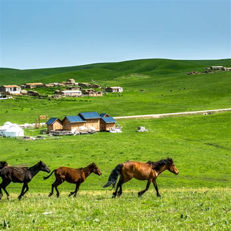 2022年内蒙古各市GDP排行榜 鄂尔多斯排名第一 包头排名第二|内蒙古|鄂尔多斯|排名_新浪新闻