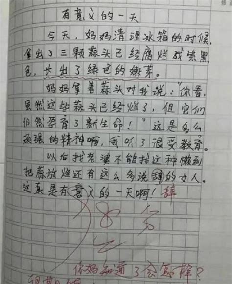 小学五年级语文《作文上的红双圈》优质教案范文Word模板下载_编号qawrgpea_熊猫办公