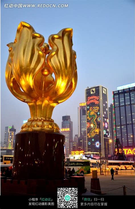 金色香港紫荆花雕塑图片免费下载_红动网