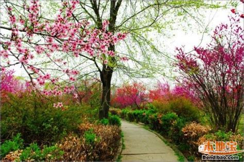 西安世博园不愧是最美的公园之一，春季踏青好去处！|西安市_新浪新闻