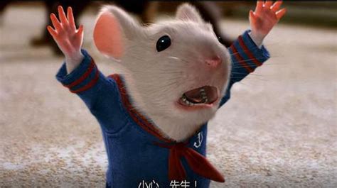 《精灵鼠小弟2》-高清电影-完整版在线观看