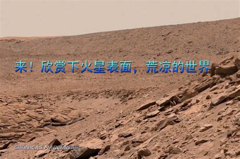 沙漠中行走的双峰驼高清图片下载-正版图片501514527-摄图网