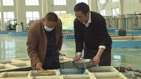 推动生态养殖提质增效 他们在福海县唱响“青春渔歌”