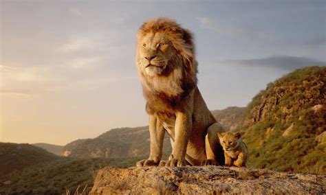 狮子王2：辛巴的荣耀（普通话）_电影_完整版介绍_超级校内网电影网