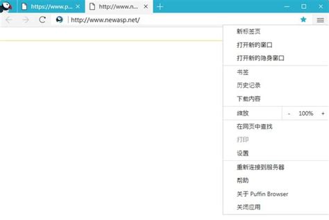Puffin Browser下载-Puffin浏览器电脑版 7.2.1 中文版-新云软件园
