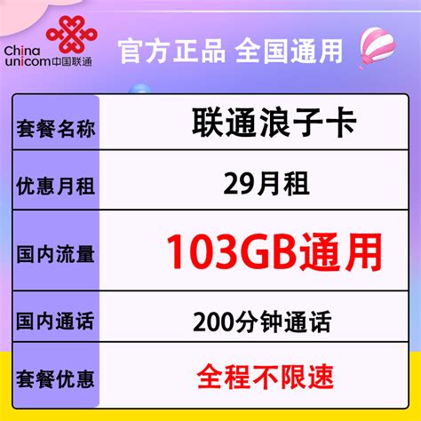 4G流量王29元套餐（号卡专区）—中国联通