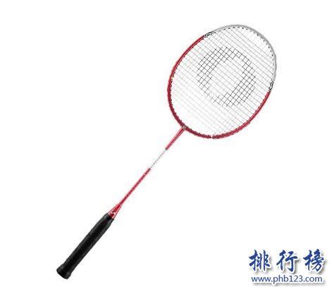 羽毛球拍什么牌子好，羽毛球拍品牌盘点(3) —【世界之最网】
