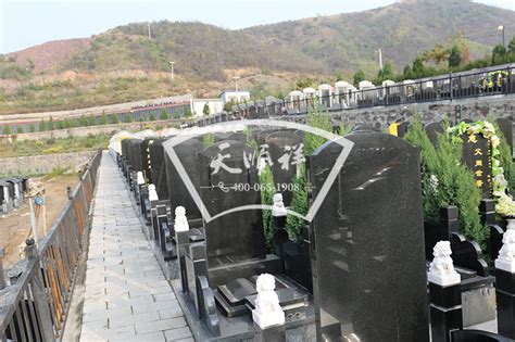 好久不见，普通墓地设计，狂欢活动已开启_墓地设计_元氏县神岩山公墓有限公司