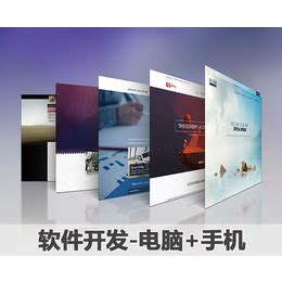 南京两企业跻身中国软件百强 榜单中众多企业在宁设有分支机构_南报网