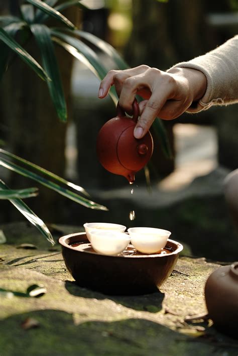 一壶禅茶感悟禅茶文化- 中国风