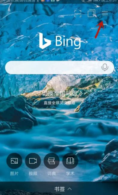 必应国际版网址入口（访问Bing国际版方法）_亚马逊服务