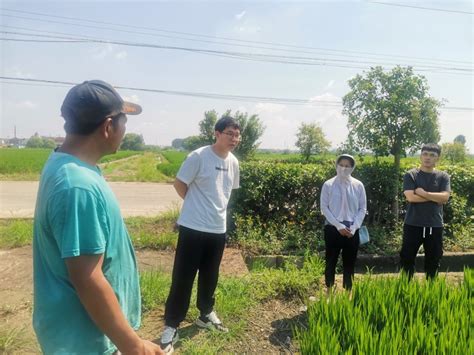 泰州市特派农技推广专家赴九龙镇开展稻麦产业调研活动