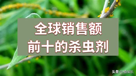 上海杀虫灭鼠公司-上海除老鼠-上海除蟑螂-上海逸消消毒消杀公司