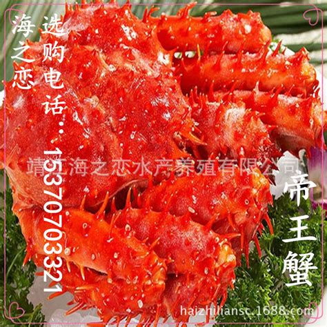 智利帝王蟹2.8-4.0斤熟冻海鲜大螃蟹皇帝蟹 按斤卖非一只价格-阿里巴巴