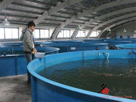 玻璃钢雨水收集池 50立方钢筋混凝土水池品牌：3M-盖德化工网