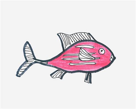 8岁简笔画教程 热带鱼的画法图解 - 有点网 - 好手艺